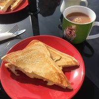 Violife Cheese toastie and a cuppa with soya milk at K9 Plus 1 Cafe in Barry