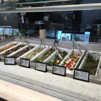 Vegan options clearly labeled at Neomonde Mediterranean in Durham