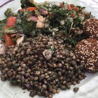 Lentils, fattoush, and tabouli with falafel at Neomonde Mediterranean in Durham
