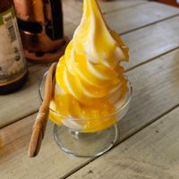 Vegan ice cream with mango sauce at Ramuna in Nara