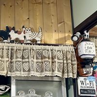 Cute cats  at Ramuna in Nara