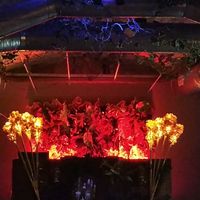 Best vegeterian/vegan foog ever. Burger with mushrooms snd caramel onion is my favorite ❤️❤️❤️ at Dom in Kyiv