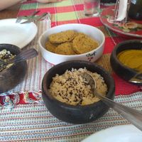 Falafel, pumpkin cream and whole grain rice. at Casa Calêndula in Sao Joao Del Rei