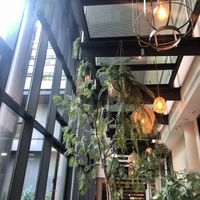 Sieht klasse aus - schade, dass es keine echten  Pflanzen sind at Balance Deli in Frankfurt