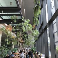 Interior  at Balance Deli in Frankfurt