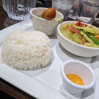 Green curry with tofu lunch special with pot sticker subbed with spring roll at Silver Dish in Provo