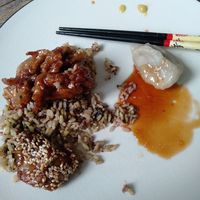 Delivery, cooked my own rice since it did not come with white. Seasame "beef" and veggie dumplings. at House of Hunan in Annapolis