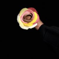   at Amorino - Sacre Coeur in Paris