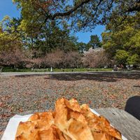 🧇 Tofu Waffle (280¥ or 310¥ | 1.8$ or 2$) at Iriyama Tofu Shop in Kyoto
