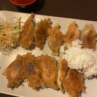 Gyoza at Kokyo in Stockholm