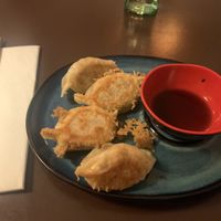 Gyoza starter at Kokyo in Stockholm