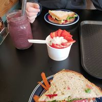 Vegan froyo, smoothies, and sandwiches. at True Juice in Grants Pass