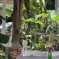   at Βouyiata B.B.Q. Malibu Bar in Corfu