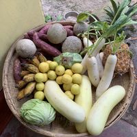   at Welle Gedara Homestay & Cooking in Weligama