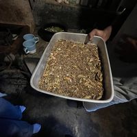   at Welle Gedara Homestay & Cooking in Weligama