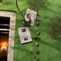   at Welle Gedara Homestay & Cooking in Weligama