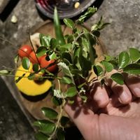   at Welle Gedara Homestay & Cooking in Weligama