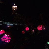 Shan's garden at night at Welle Gedara Homestay & Cooking in Weligama