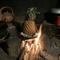 Pineapple salad in the making  at Welle Gedara Homestay & Cooking in Weligama
