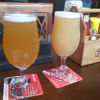 Cheers 🍻 at Ivy House in Sunderland