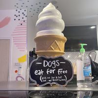 For doggies   at MN Nice Cream in Minneapolis