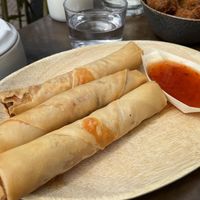 Spring rolls  at Kosta in Amsterdam