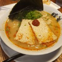 Classic Rekka Ramen at Ramen Danbo in Seattle