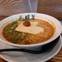 Spicy Ramen w/Tofu at Ramen Danbo in Seattle