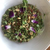 The one vegan option at $25, pea risotto  at Level 5 - Hotel Chaco in Albuquerque