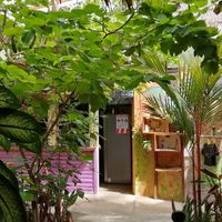 Inside of restaurant at Gypsea in Puerto Viejo De Talamanca