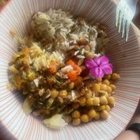   at Gypsea in Puerto Viejo De Talamanca