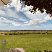 View from the terrace at Harvest Kitchen in Tanunda