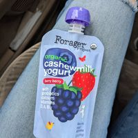 Vegan yogurt squeeze pouch at Whole Foods Market - Camelback in Phoenix