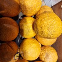  at Whole Foods Market - Camelback in Phoenix