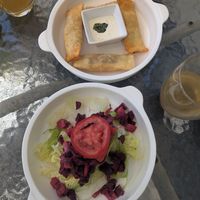 Russian stuffed avocado and spring rolls(amazing!) at Prana Vegan in Arequipa