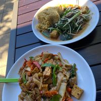 Huge amount of choices on there all vegetarian Thai menu. Everything can be made vegan. Best Thai I’ve had anywhere. at Plumeria in Encinitas