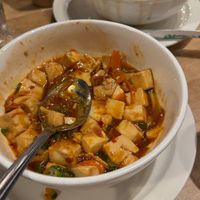 mapo tofu at Mao's Kitchen in Venice