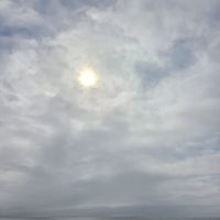  at Mao's Kitchen in Venice