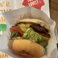 American cheezeburger  at Next Level Burger - Austin in Austin