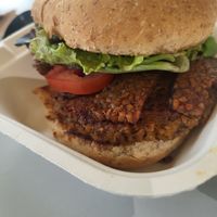 Social Burger at Next Level Burger - Austin in Austin