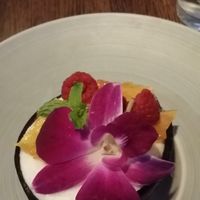 Coconut sorbet garnished with edible flower, mint, candied pineapple and raspberries at Poki Poblano in Albuquerque