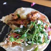 Soy curd (half eaten) taco! AMAZING! at Poki Poblano in Albuquerque