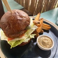 Chicken burger   at Avit in Athens