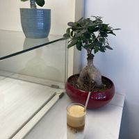 Flat white with sprout milk  at Avit in Athens