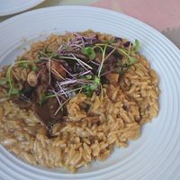 Amazing vegan strogganof!! ❤️  at Avit in Athens