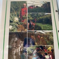 information  at French Creperie and Bar in Pokhara