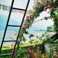 Lake view at Rest Point Cafe in Pokhara