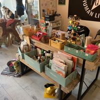 Nice people to talk about veganism at Wave 269 in Ericeira