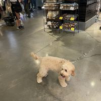   at Whole Foods Market in New York City