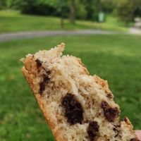 Chocolate chip scone at Whole Foods Market in New York City